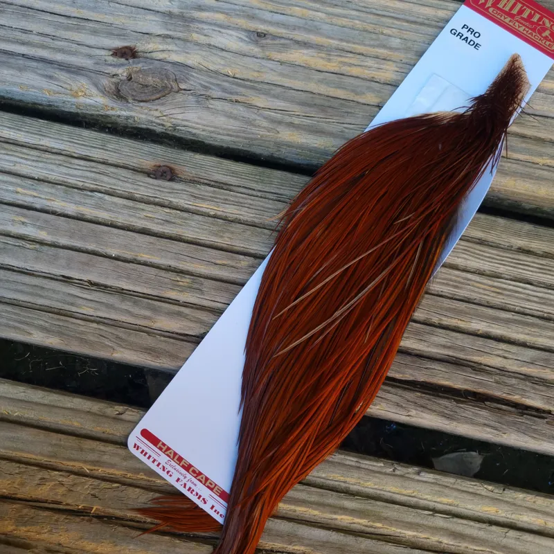 Whiting 1/2 Pro-Grade Dry Fly Rooster Cape in Brown-1